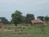 Habitats traditionnel du nord Cameroun: cliquer pour aggrandir